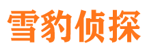 汕尾市侦探调查公司